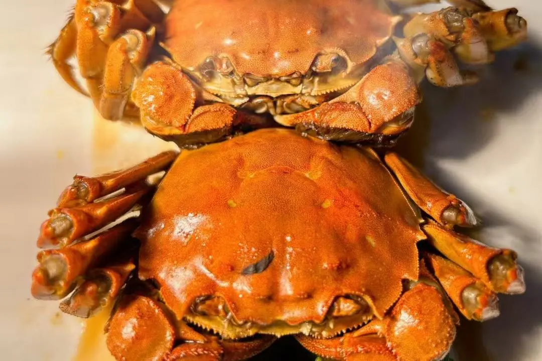 微信图片_2025-11-28_203419_939.png 微信图片_2025-11-28_203419_939.png